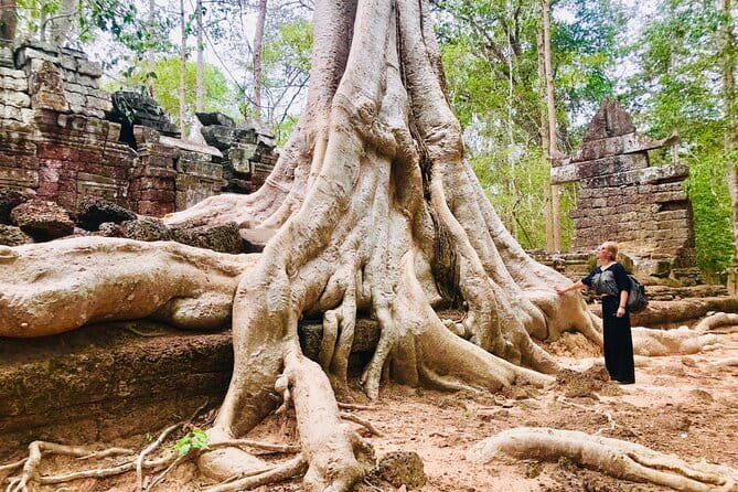 1-Day Angkor Wat Cycling Tour: Scenic Bike Adventure in Siem Reap - Bayon and the royal terraces: the “story beats” you can actually follow