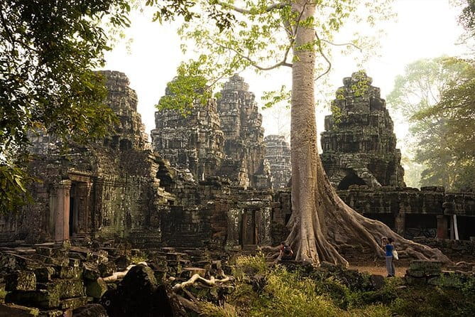 1-Day Angkor Wat Cycling Tour: Scenic Bike Adventure in Siem Reap - Ta Prohm: where the jungle and the cameras meet