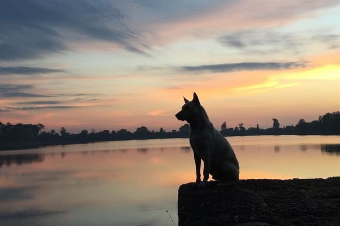 1 Day Angkor Wat with Sunrise Tour - Sunrise at Angkor Wat: why the early start really matters