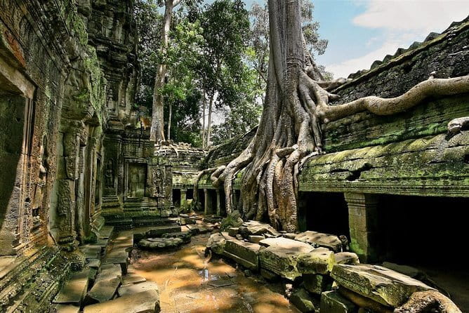 1 day special Tour: Angkor Wat,Bayon,Ta Prohm, Bantey srei and Beng Mealea - What you’re really paying for: $162.06 per group