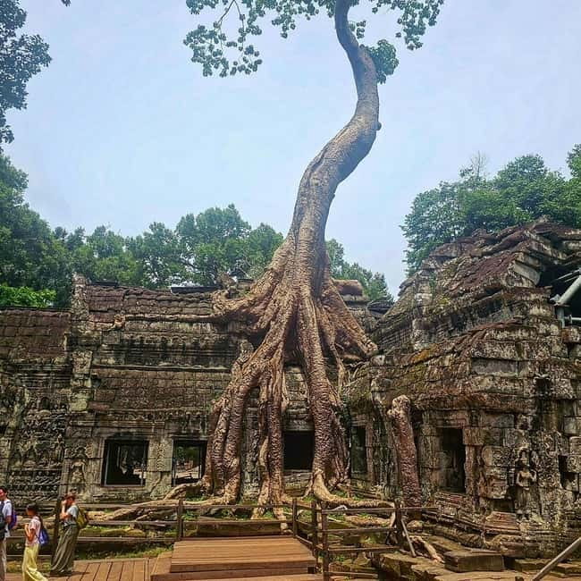 1-Day Trip to Angkor Wat with a Private or Shared Guide in Spanish - Transport: Tuk-Tuk for Two, Van for Small Groups