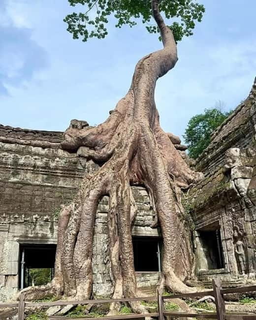 1-Day Trip to Angkor Wat with a Private or Shared Guide in Spanish - Meeting Point in Siem Reap: The Day Starts Early