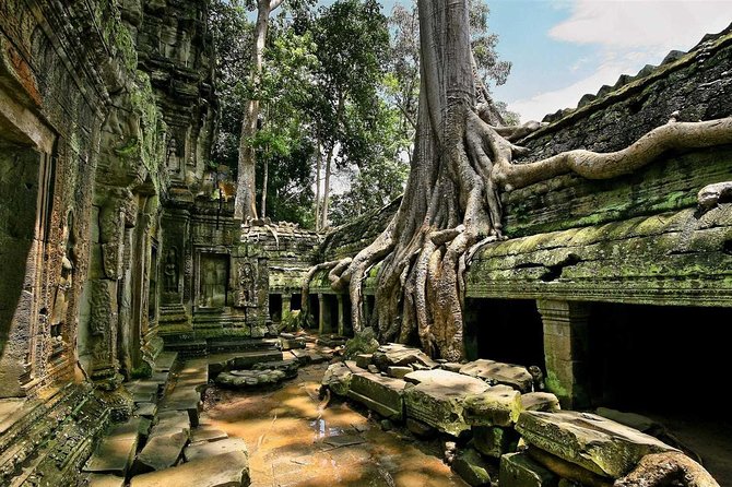 1day private tour all main temple in Angkor,sunset at TonleSap floating village - Angkor Wat: the main event and why a guide changes everything