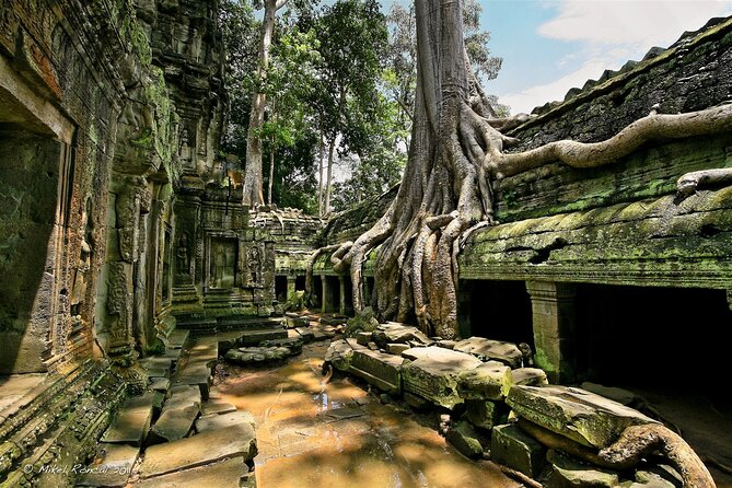 1day private tour to all majestic Temples in Angkor and Sunset - Phnom Bakheng sunset: the climb, the wait, and the payoff