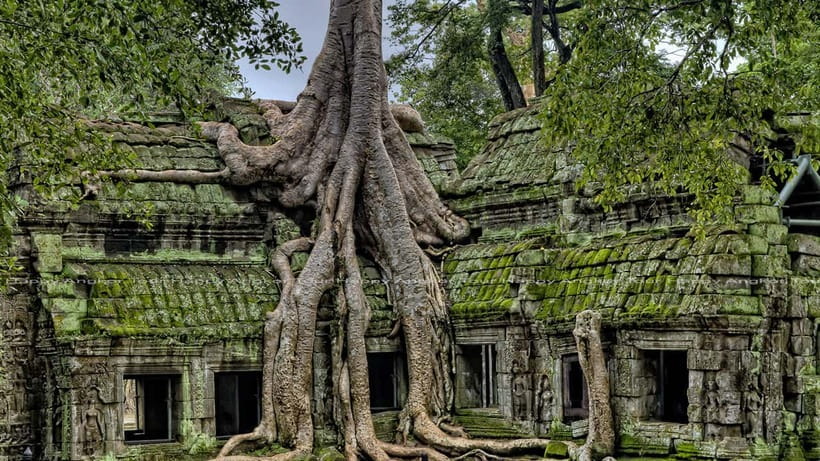 2-Day Angkor Wat With Small, Big Circuit & Banteay Srei Tour - Rice-paddy scenery and the pink sandstone of Banteay Srei