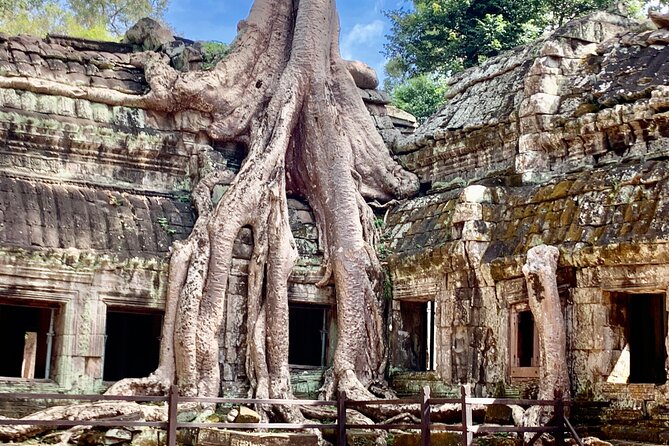2 Days Angkor temples with Sunrise & Sunset - Day 2 Highlights: Angkor Wat Sunrise and the Banteay Srei Carvings