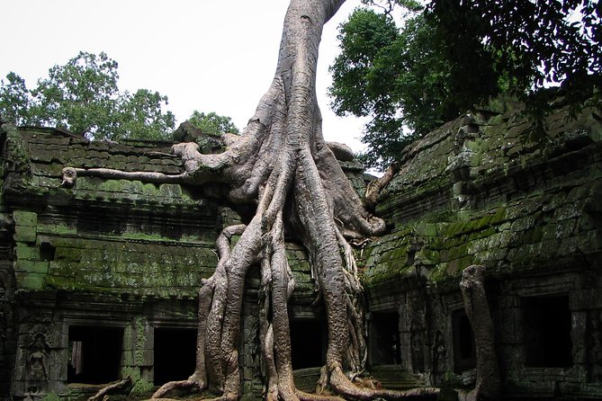 2 Days Angkor Wat Tranquility Tour - Price and what you’re paying for at $110