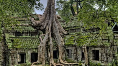 3-Day Angkor Wat & All Interesting Temples With Beng Mealea - Day 1: Angkor Wat, Ta Prohm Roots, and the Big Faces of Bayon