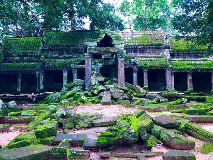3-Day Exploring Angkor Wat & Siem Reap Highlights Tour. - Ta Prohm and Angkor Thom: trees, faces, and the Terrace of the Elephants
