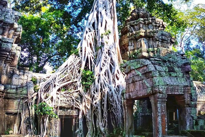 3-Day Tour(Unforgettable Angkor Temple Complex, Banteay Srei& Floating Village) - Day 3: Banteay Srei’s pink sandstone and Kampong Phluk on Tonle Sap