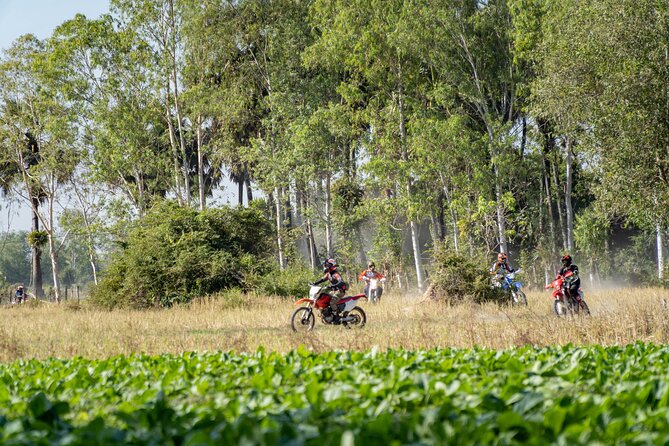 5 Days - Cambodia Ancient Trails & Jungle Temples - Day 4 to Sambor Prei Kuk: Forest Trails to a Pre-Angkorian Site