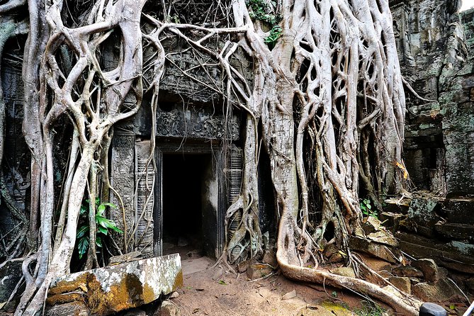 7-must See Temples in Angkor Park (Private Guided Tour) - Stop-by-Stop Temple Route: What You’ll See and Why It Works