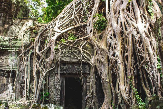 7-must See Temples in Angkor Park (Private Guided Tour) - Who This Tour Is Best For (And When You Might Skip It)