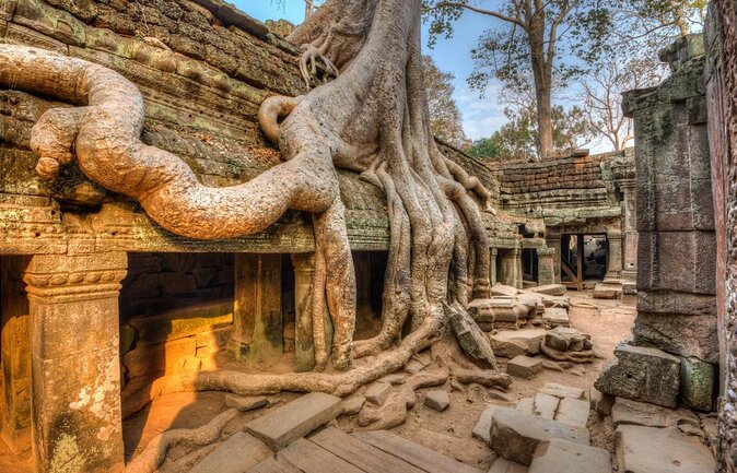 8-Hour Private Guided Tour in Siem Reap Cambodia - Key highlights you’ll care about