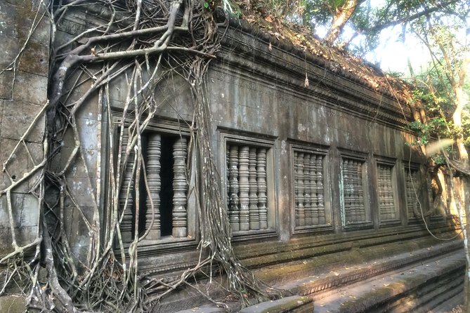 A Day Angkor Wat Sunrise Tour, Ta Prohm & Hidden Gems Beng Mealea - Ta Prohm: The Tomb Raider Style Moment