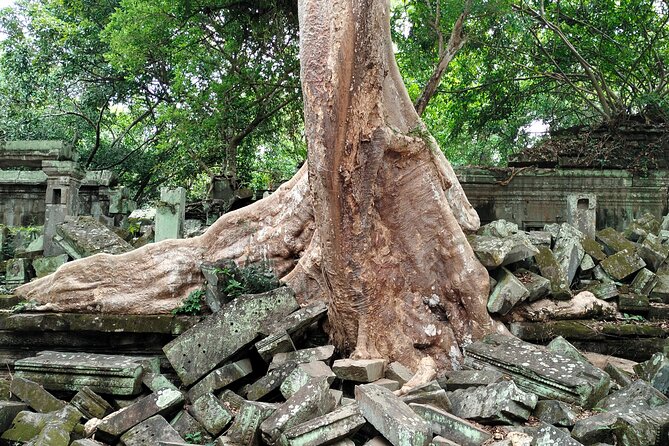 A Day Angkor Wat Sunrise Tour, Ta Prohm & Hidden Gems Beng Mealea - Banteay Srei’s Carvings: A Smaller Temple With Big Detail