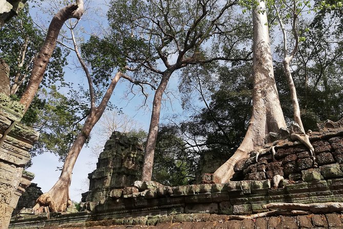 Afternoon Angkor Wat Private Tour with Sunset - Phnom Bakheng sunset: what you gain by timing the climb