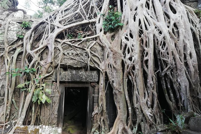 Afternoon Angkor Wat Private Tour with Sunset - What to pack (and what to skip) for Angkor in late afternoon
