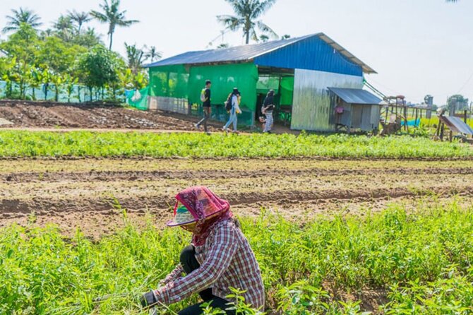 Afternoon Cooking Class & Village Tour in Siem Reap - How an Afternoon Cooking Class Feeds Your Curiosity