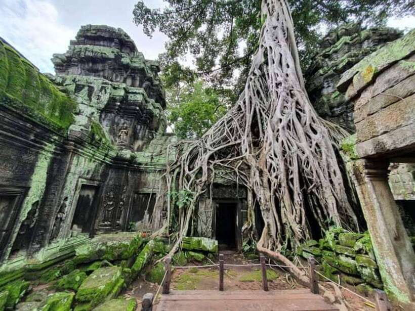 Angkor Cycling Tour - Cycling difficulty and what it means for your comfort