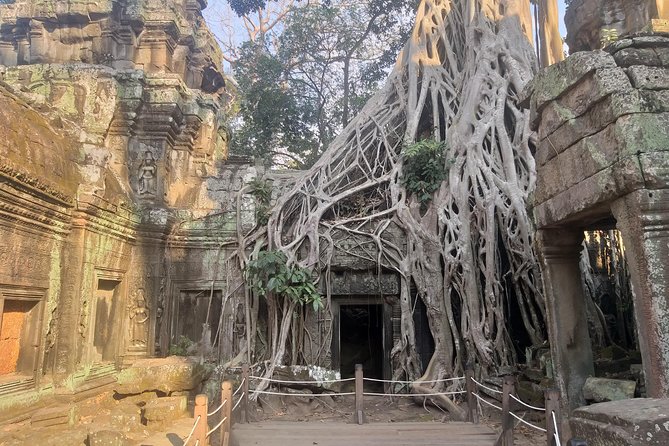 Angkor Discovery 2-Days Of Private Tour - What the guide team really adds (beyond just seeing temples)