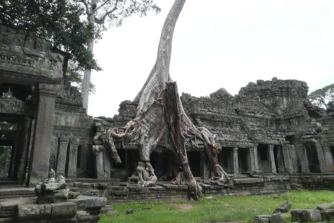 Angkor Grand Circuit Temples Tour - Pickup at 8:00 and the Temple-Ready Morning Routine
