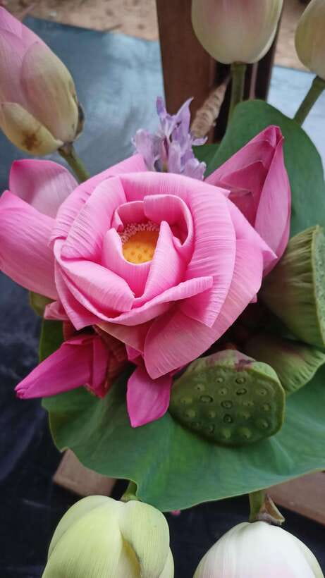 Angkor Silk Farm & Lotus Silk Farm: Siem Reap Discovery Tour - Angkor Silk Farm: from mulberry to cocoons and thread