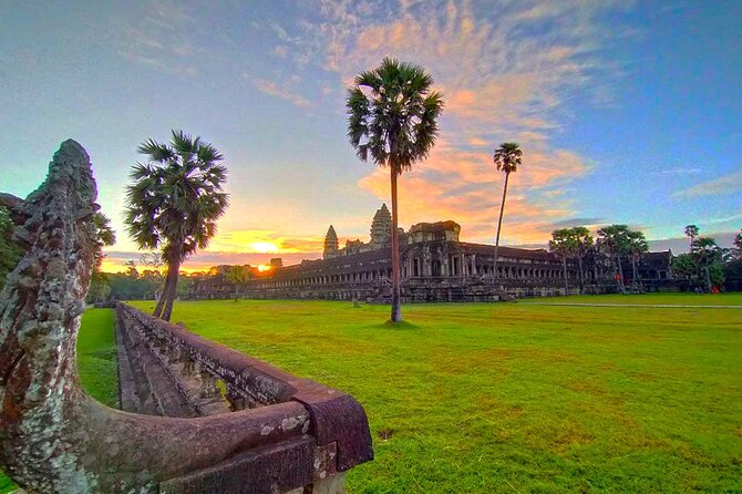 Angkor Sunrise Bike Tour - Breakfast & Lunch included - Ta Prohm by bike: seeing nature take over