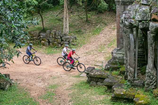 Angkor Sunrise Bike Tour / E-Bike or Tuk Tuk - Stop 3: Ta Prohm, jungle roots, and late-afternoon breathing room