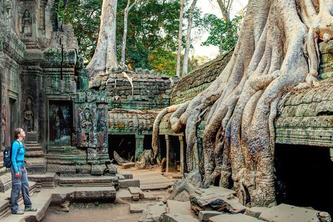 Angkor Sunrise Small Group Tour Inclusive Breakfast and lunch - Ta Prohm: the jungle temple route and why crowds matter