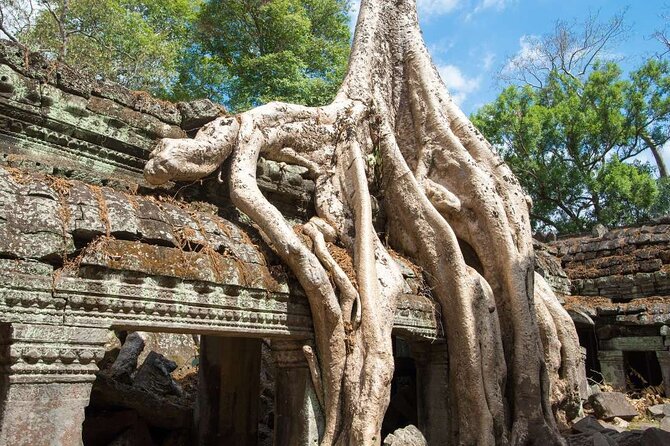 Angkor Thom Ta Prohm and Sunset in Angkor Wat Golden Hour Tour - Angkor Wat at golden hour: west gate, east-gate views, and water reflections