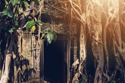 Angkor Thom Ta Prohm and Sunset in Angkor Wat Golden Hour Tour - Ta Prohm: roots, carvings, and the Tomb Raider framing