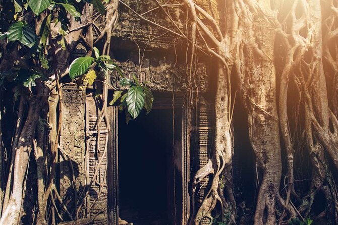 Angkor Thom Ta Prohm and Sunset in Angkor Wat Golden Hour Tour - Ta Prohm: roots, carvings, and the Tomb Raider framing