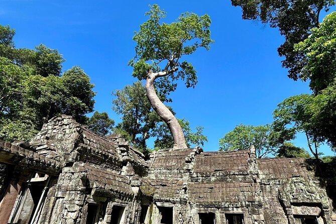 Angkor Wat 1-Day Tour by Private Car or Minivan - Is this best for families, couples, or solo travelers?