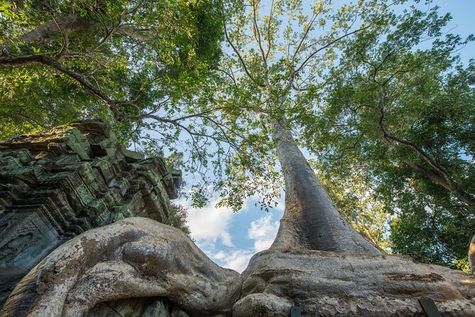 Angkor wat and Small group temples Full day tours - Pickup, Air-Conditioning, and the Timing Reality