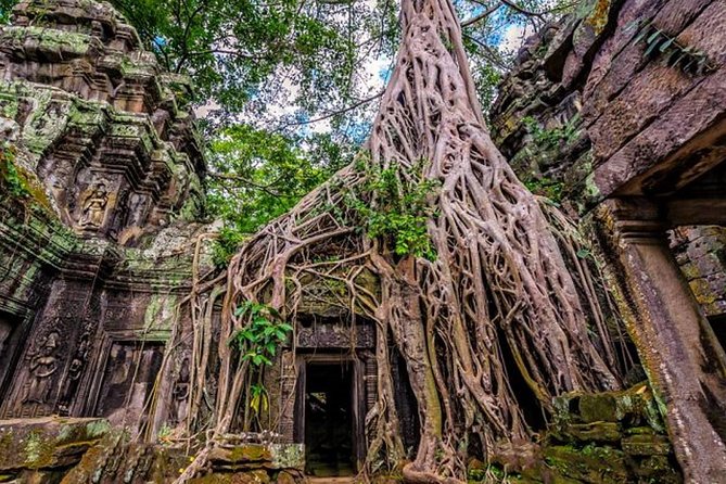 Angkor wat and Small group temples Full day tours - Ta Prohm: Jungle Roots, Ruin Details, and Smart Timing