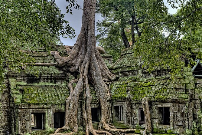 Angkor Wat, Angkor Thom & Elephant Terrace Half-Day Tours - Half-Day Power Plan: Angkor in 4–5 Hours