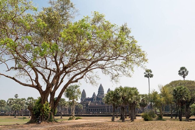 Angkor Wat, Angkor Thom & Elephant Terrace Half-Day Tours - Terrace of the Elephants: The Khmer Empire’s Stone Stage