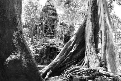 Angkor Wat & Banteay Srei 1-Day Tour - Breakfast + light exploration: how the tour avoids the worst crowd crunch