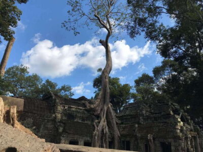 Angkor Wat by Vintage Jeep – Private Tour (Optional Sunrise) - The flow of the 8-hour itinerary (and where you’ll actually spend time)