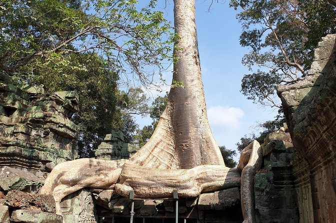 Angkor Wat Full Day Tour in Siem Reap Small-Group - A calmer Angkor Wat day: no sunrise scramble, still full value
