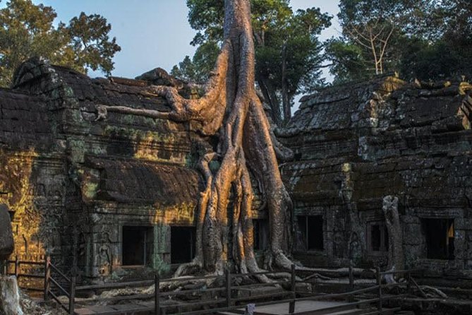 Angkor Wat highlight Tour From Sunrise -Small Group - Ta Prohm in the Jungle: Lunch on Your Own and That Time-Warp Feeling