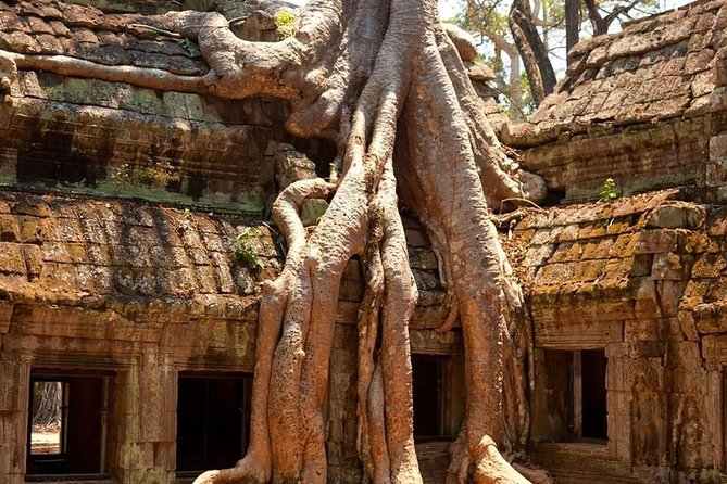 Angkor Wat Private Day Tour - Angkor Wat at sunset: why the last stop matters most