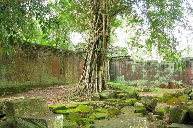 Angkor Wat Private Tour with English Speaking Driver, NO guide - Stop 3: Bayon Temple for about 1 hour (where your eyes will work)