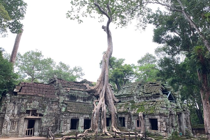 Angkor Wat Small Circuit & Sunset Tour - Ta Keo’s short climb and why it’s worth the effort