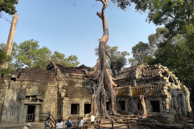 Angkor Wat Small Circuit Tour - Start at 8:00 am: how timing shapes your temple day