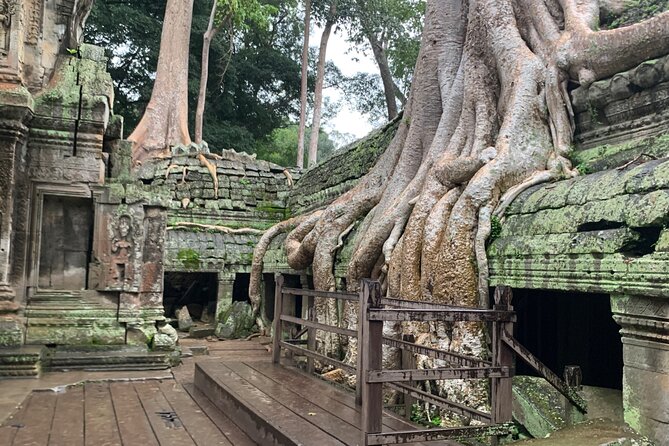 Angkor Wat Small Circuit Tour - Ta Prohm: the famous “movie temple” moment, timed well