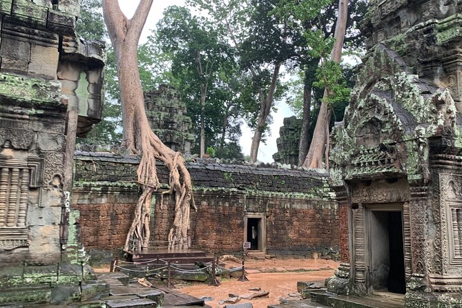 Angkor Wat Small Circuit Tour - The guide makes the difference, and you’ll notice it fast
