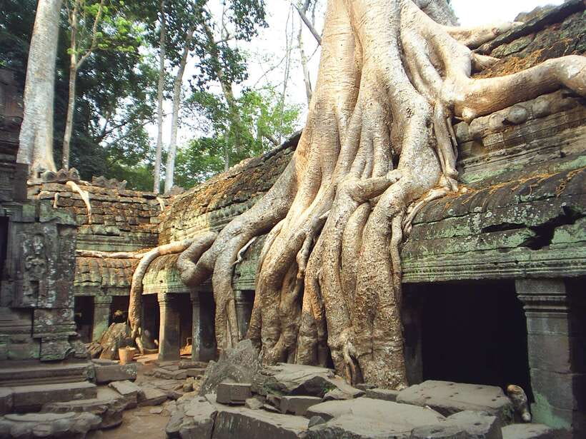 Angkor Wat: Small-Group Tour with Balloon Ride and Lunch - Key things I’d zero in on
