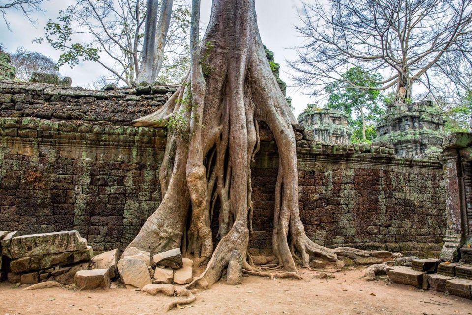 Angkor Wat Small Tour Sunrise With Private Tuk Tuk - The rest of the day: the small-cycle temple sweep